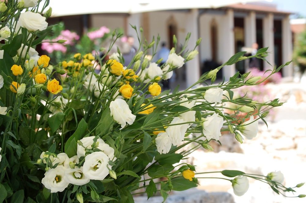 Masseria La Grande Quercia Otel Mottola Dış mekan fotoğraf