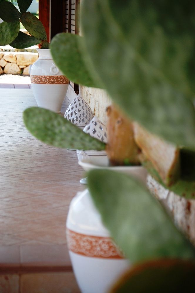 Masseria La Grande Quercia Mottola Dış mekan fotoğraf